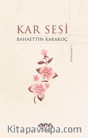 Kar Sesi