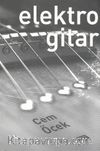 Elektro Gitar