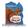 Bemim Adım Sincap / Merhaba - 8
