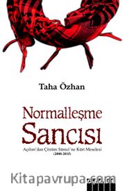 Normalleşme Sancısı <br /> Açılım’dan Çözüm Sürecine Kürt Meselesi (2008 – 2015)