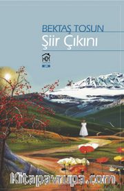 Şiir Çıkını