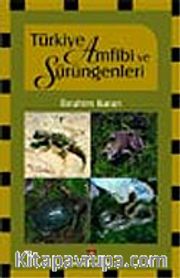 Türkiye Amfibi ve Sürüngenleri
