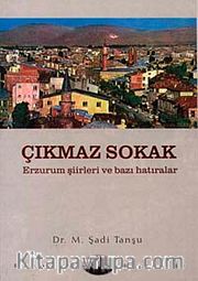 Çıkmaz Sokak <br /> Erzurum Şiirleri ve Bazı Hatıralar