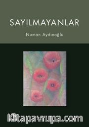 Sayılmayanlar