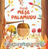 Küçük Meşe Palamudu / Doğanın Eşsiz Hikayeleri 2