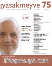 Yasakmeyve Sayı:75