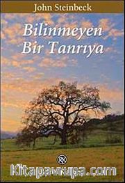 Bilinmeyen Bir Tanrıya