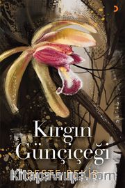 Kırgın Günçiçeği