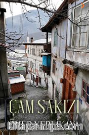 Çam Sakızı
