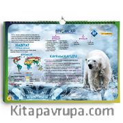 AYT Coğrafya Poster Notlar 