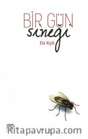 Bir Gün Sineği