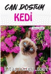 Can Dostum Kedi