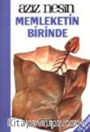 Memleketin Birinde