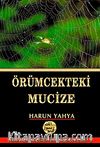 Örümcekteki Mucize