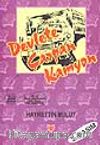 Devlete Çarpan Kamyon (1.hm)