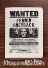 Harry Potter / Wanted - Fenrir Greyback - Dokun Hisset Serisi (AD-HP020) Lisanslı Ürün   (Cep Boy) Lisanslı Ürün  