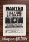 Harry Potter / Wanted - Bellatrix Lestrange - Dokun Hisset Serisi (AD-HP023) Lisanslı Ürün   (Cep Boy) Lisanslı Ürün  