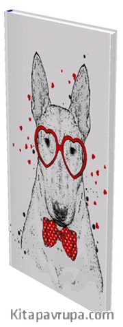 Mahzen Defter 45
