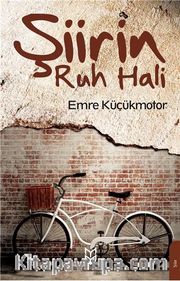 Şiirin Ruh Hali