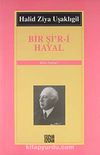 Bir Şi'r-i Hayal