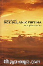 Sahralarda Esen Boz Bulanık Fırtına