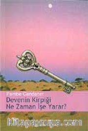 Devenin Kirpiği Ne Zaman İşe Yarar?