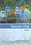 Üşüyen Düş (Şiirler)
