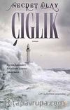 Çığlık