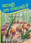 Emek Ne Demek?