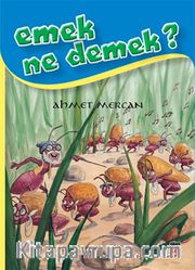 Emek Ne Demek?