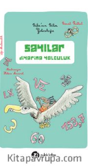 Sayılar Diyarına Yolculuk