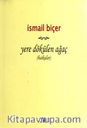 Yere Dökülen Ağaç