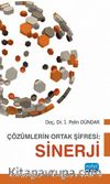 Çözümlerin Ortak Şifresi: Sinerji