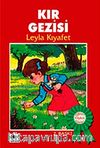 Kır gezisi