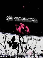 Gül Zamanlarda