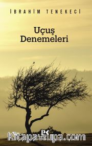 Uçuş Denemeleri