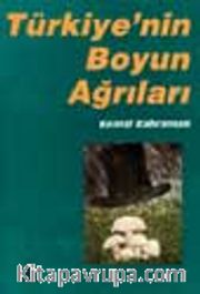 Türkiye'nin Boyun Ağrıları