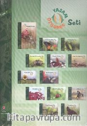 Yaşam Döngüsü Seti