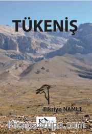 Tükeniş
