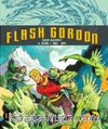 Flash Gordon Cilt:17 8. Albüm 1962-1964