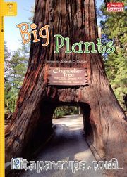 Big Plants +Downloadable Audio (Compass Readers 3) A1