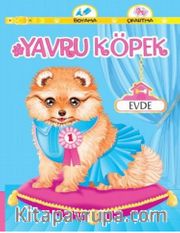 Yavru Köpek Evde