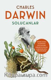 Solucanlar