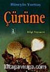 Çürüme
