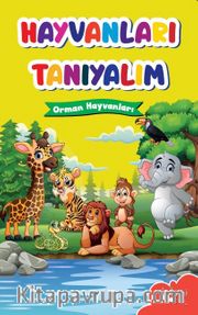 Hayvanları Tanıyalım / Orman Hayvanları