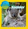 National Geographic Kids -Koalalar Dünyamızı Keşfedin 