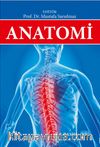 Anatomi