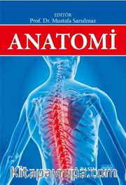Anatomi