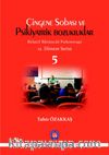Çingene Sobası ve Psikiyatrik Bozukluklar & Rölatif Bütüncül Psikoterapi 12. Dönem Serisi 5