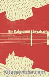 Bir Çalgıcının Seyahati (1. Cilt)
